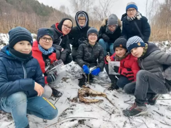 Kudowa Zdrój Strefa Przygody w sercu Gór Stołowych Boys Campowych - Zi